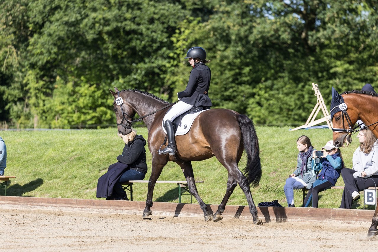 Bild 206 - Pony Akademie Turnier